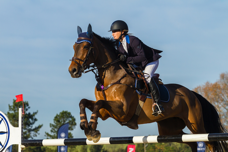 Assurance centre equestre ffa equitation cheval manege 800x533