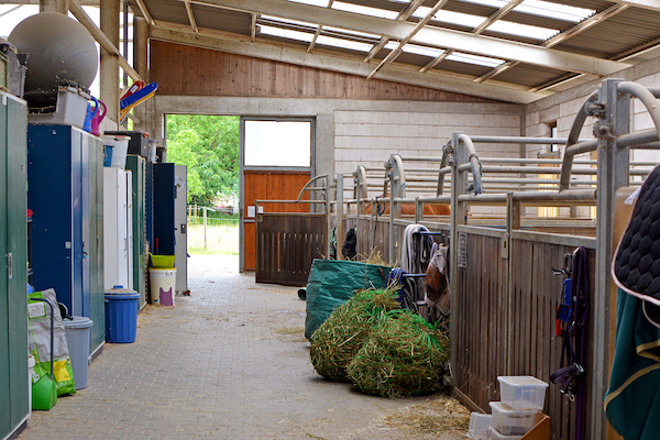 centre equestre pension box cheval equitation assurance 600×400 centre equestre pension box cheval equitation assurance 600x400